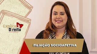 Explica Direito Filiação Socioafetiva  2019 [upl. by Einnaffit940]