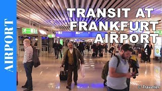 TRANSIT WALK AT FRANKFURT Airport FRA Terminal 1  Connection Flight Transfer Arriving amp Departing [upl. by Enenaj]